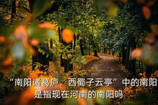 “南陽諸葛廬，西蜀子云亭”中的南陽是指現(xiàn)在河南的南陽嗎
