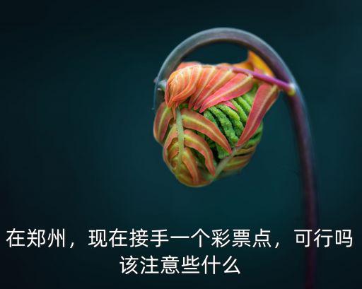 鄭州雙機彩票店在哪里,現在在鄭州接個轉讓的彩票點