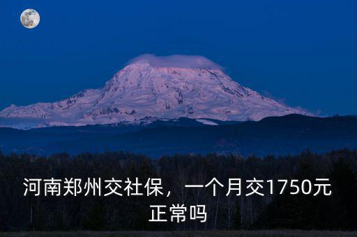鄭州最低社保一個月交多少6,河南鄭州交社保