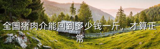 全國豬肉介能回到多少錢一斤，才算正常