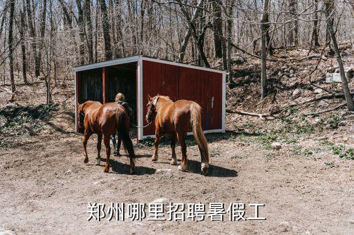 鄭州哪里招熨燙工,鄭州哪里招聘暑假工