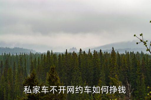 私家車不開網約車如何掙錢