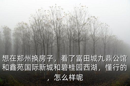 想在鄭州換房子，看了富田城九鼎公館和鑫苑國際新城和碧桂園西湖，懂行的，怎么樣呢