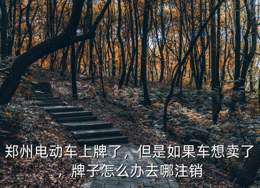 鄭州電動車上牌了，但是如果車想賣了，牌子怎么辦去哪注銷