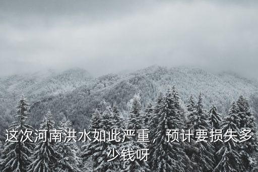 這次河南洪水如此嚴重，預計要損失多少錢呀