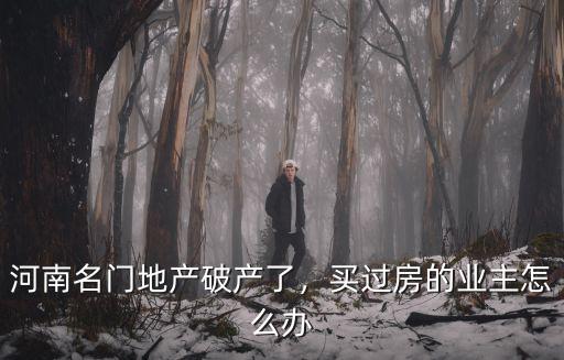 河南房地產(chǎn)開發(fā)商怎么辦,河南名門地產(chǎn)破產(chǎn)了
