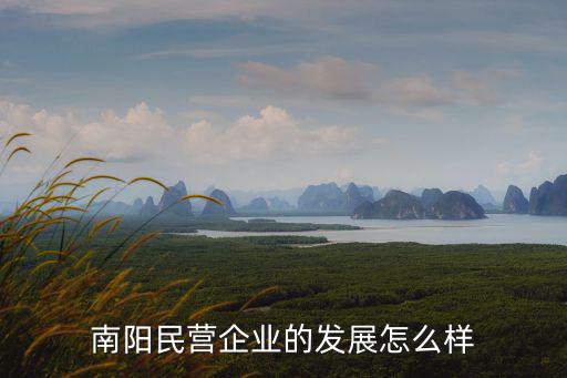 南陽民營企業(yè)的發(fā)展怎么樣
