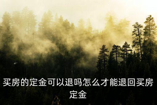 鶴壁怎么樣退買房定金,買房的定金可以退嗎