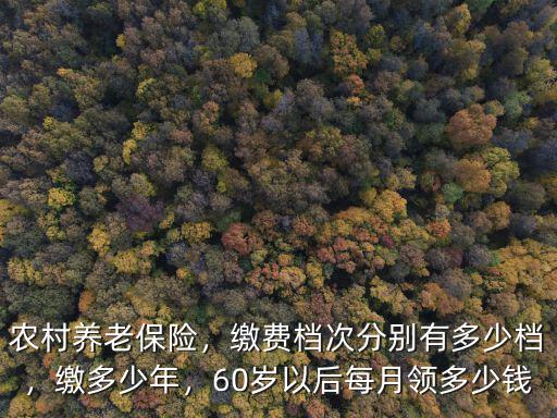 農村養老保險，繳費檔次分別有多少檔，繳多少年，60歲以后每月領多少錢