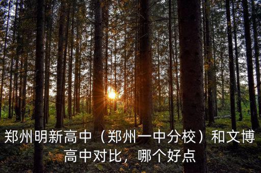 鄭州明新高中（鄭州一中分校）和文博高中對比，哪個好點