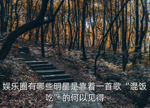 娛樂圈有哪些明星是靠著一首歌“混飯吃”的何以見得