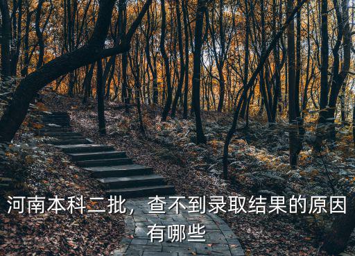河南本科二批，查不到錄取結果的原因有哪些