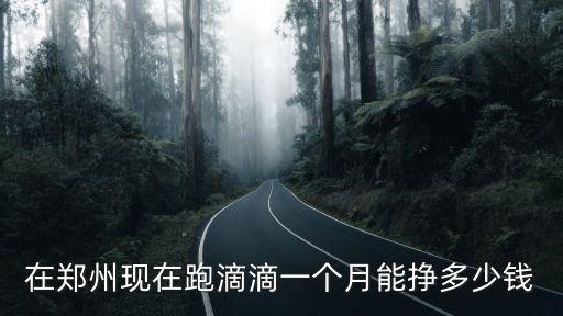 在鄭州現(xiàn)在跑滴滴一個月能掙多少錢
