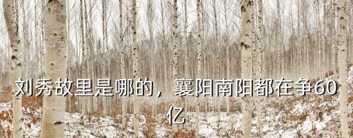 劉秀在南陽(yáng)哪里居住,襄陽(yáng)南陽(yáng)都在爭(zhēng)60億
