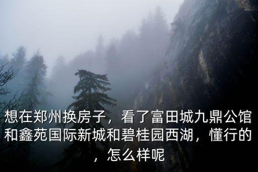 想在鄭州換房子，看了富田城九鼎公館和鑫苑國際新城和碧桂園西湖，懂行的，怎么樣呢