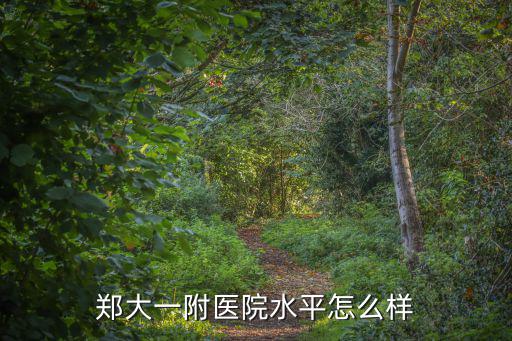 鄭大一附醫院水平怎么樣