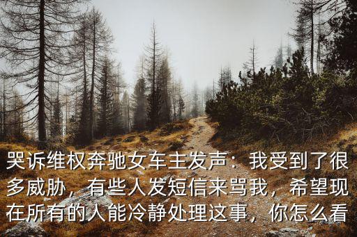 哭訴維權奔馳女車主發聲：我受到了很多威脅，有些人發短信來罵我，希望現在所有的人能冷靜處理這事，你怎么看