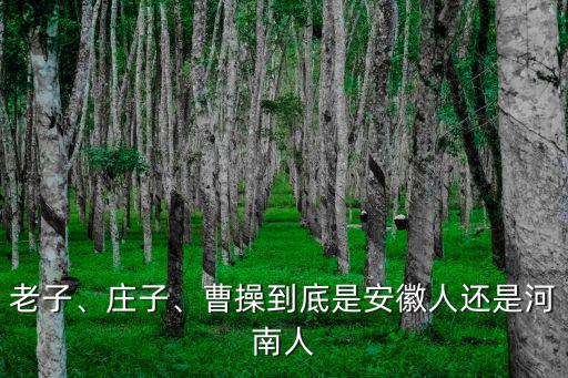 包拯怎么是河南人,包拯包青天包大人是怎么死的