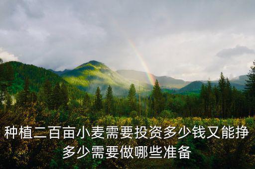 種植二百畝小麥需要投資多少錢又能掙多少需要做哪些準備