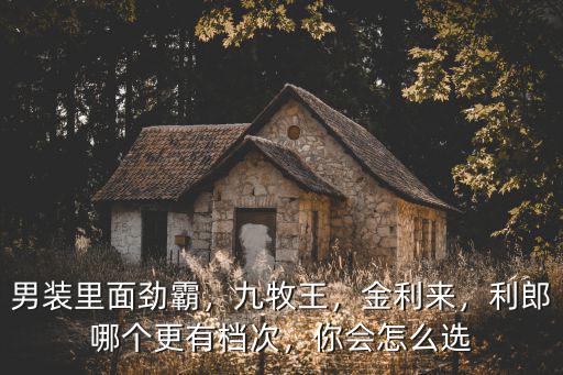 勁霸男裝河南捐款多少,勁霸男裝怎么樣