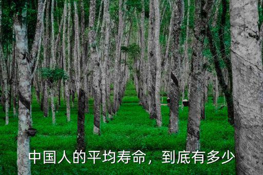 中國(guó)人的平均壽命，到底有多少