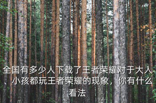 河南省新鄉縣有多少人玩王者榮耀,全國有多少人下載了王者榮耀