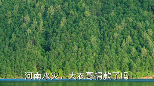 河南水災，大衣哥捐款了嗎