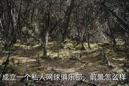 鄭州英開(kāi)網(wǎng)球俱樂(lè)部怎么樣,成立一個(gè)私人網(wǎng)球俱樂(lè)部