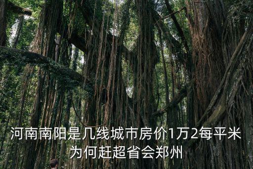 河南南陽是幾線城市房價1萬2每平米為何趕超省會鄭州