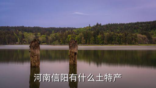 河南信陽哪里有黑母豬,河南信陽有什么土特產