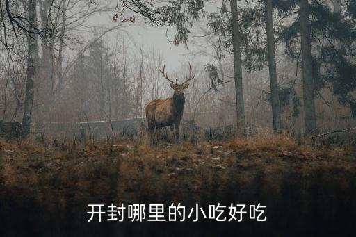 開封哪里的小吃好吃