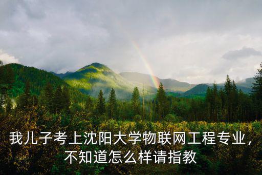 我兒子考上沈陽大學物聯網工程專業，不知道怎么樣請指教