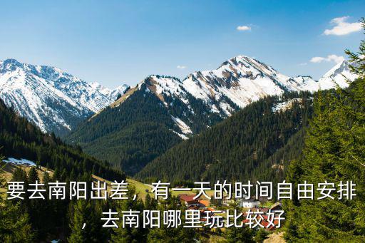 要去南陽出差，有一天的時間自由安排，去南陽哪里玩比較好