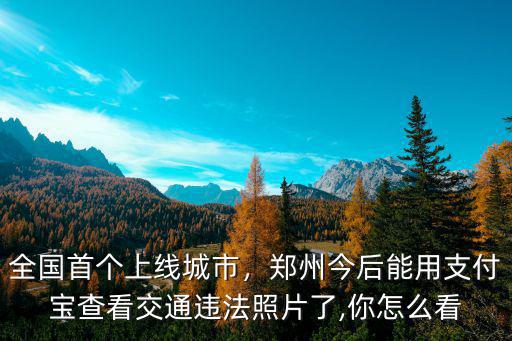 全國首個上線城市，鄭州今后能用支付寶查看交通違法照片了,你怎么看