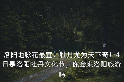 洛陽地脈花最宜，牡丹尤為天下奇！4月是洛陽牡丹文化節，你會來洛陽旅游嗎
