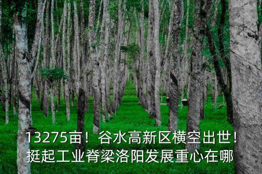 13275畝！谷水高新區橫空出世！挺起工業脊梁洛陽發展重心在哪