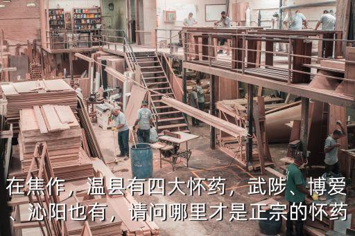 在焦作，溫縣有四大懷藥，武陟、博愛、沁陽也有，請(qǐng)問哪里才是正宗的懷藥