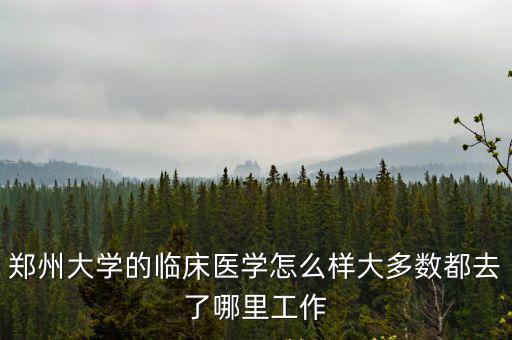 鄭州大學的臨床醫學怎么樣大多數都去了哪里工作