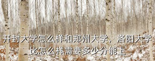 開封錦譽(yù)學(xué)府怎么樣,開封大學(xué)怎么樣