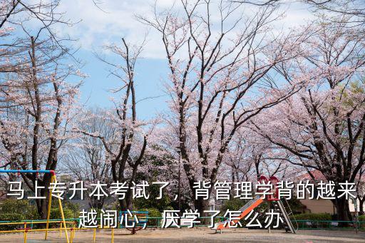 馬上專升本考試了，背管理學背的越來越鬧心，厭學了怎么辦