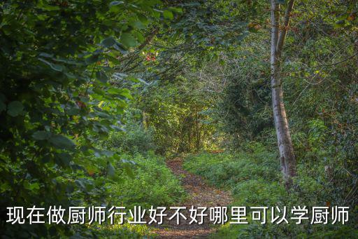 現(xiàn)在做廚師行業(yè)好不好哪里可以學(xué)廚師