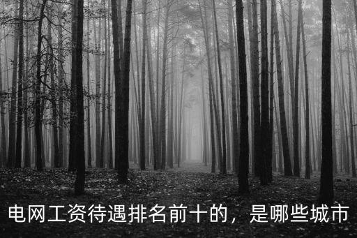 河南電網(wǎng)工資待遇怎么樣,南方電網(wǎng)待遇怎么樣