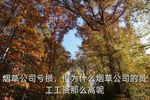 煙草公司虧損，但為什么煙草公司的員工工資那么高呢