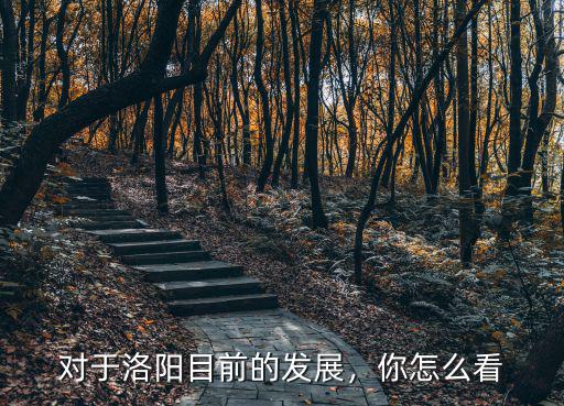 對(duì)于洛陽(yáng)目前的發(fā)展，你怎么看