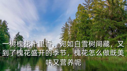 河南槐花香怎么做,槐花怎么做既美味又營養(yǎng)呢