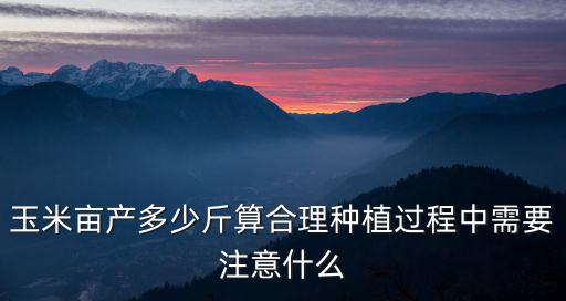 玉米畝產多少斤算合理種植過程中需要注意什么