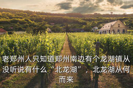 老鄭州人只知道鄭州南邊有個(gè)龍湖鎮(zhèn)從沒聽說有什么“北龍湖”，北龍湖從何而來