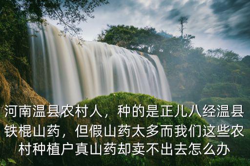 河南溫縣農(nóng)村人，種的是正兒八經(jīng)溫縣鐵棍山藥，但假山藥太多而我們這些農(nóng)村種植戶真山藥卻賣不出去怎么辦
