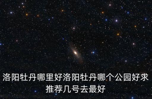 洛陽牡丹哪里好洛陽牡丹哪個公園好求推薦幾號去最好