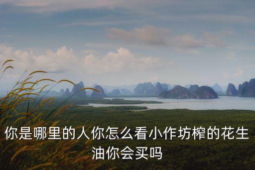 你是哪里的人你怎么看小作坊榨的花生油你會(huì)買(mǎi)嗎